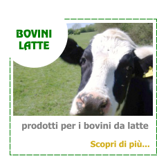 prodotti per i bovini da latte  BOVINI  LATTE Scopri di pi...