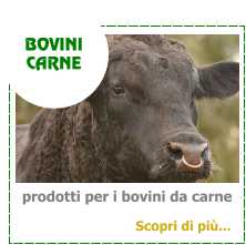 prodotti per i bovini da carne BOVINI  CARNE Scopri di pi...