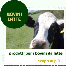 prodotti per i bovini da latte  BOVINI  LATTE Scopri di pi...