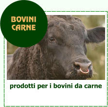 prodotti per i bovini da carne BOVINI  CARNE