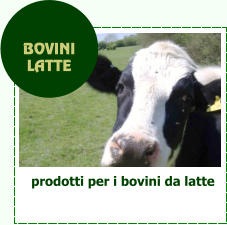 prodotti per i bovini da latte  BOVINI  LATTE