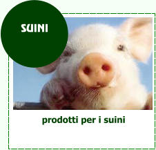 prodotti per i suini SUINI