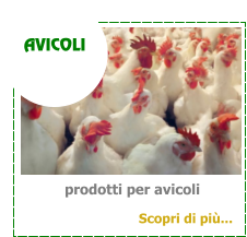 prodotti per avicoli AVICOLI Scopri di pi...