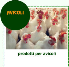 prodotti per avicoli AVICOLI