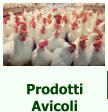 Prodotti Avicoli