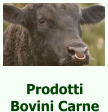 Prodotti Bovini Carne