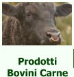 Prodotti Bovini Carne