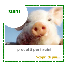 prodotti per i suini SUINI Scopri di pi...