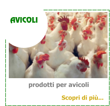 prodotti per avicoli AVICOLI Scopri di pi...