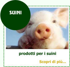 prodotti per i suini SUINI Scopri di pi...