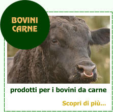 prodotti per i bovini da carne BOVINI  CARNE Scopri di pi...