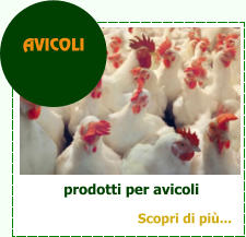 prodotti per avicoli AVICOLI Scopri di pi...